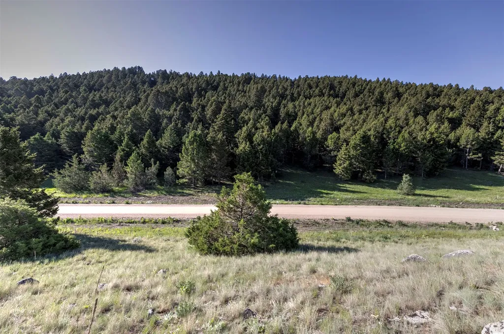 Nhn Lot 8 Phase 3a Dolus Lakes Road Deer Lodge MT 59722