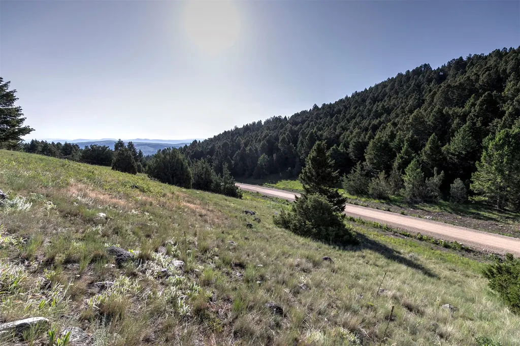 Nhn Lot 8 Phase 3a Dolus Lakes Road Deer Lodge MT 59722