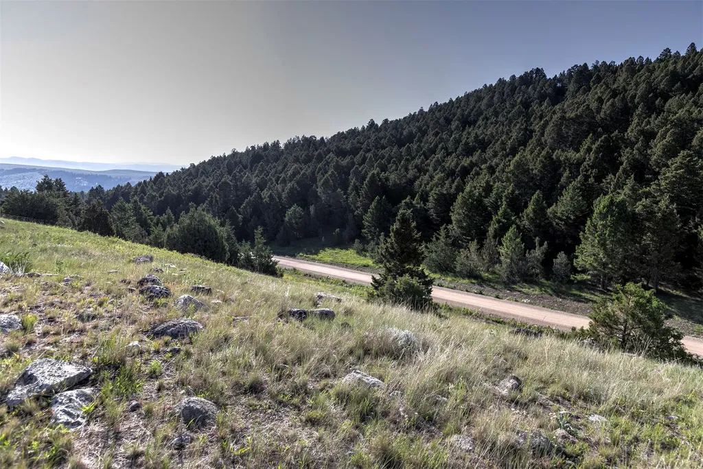 Nhn Lot 8 Phase 3a Dolus Lakes Road Deer Lodge MT 59722