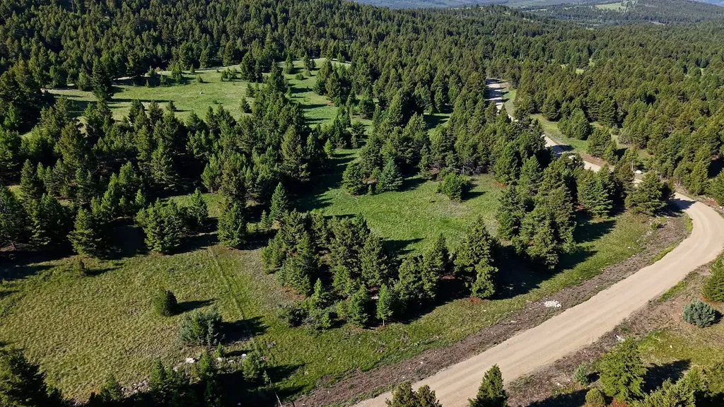 Nhn Lot 8 Phase 3a Dolus Lakes Road Deer Lodge MT 59722