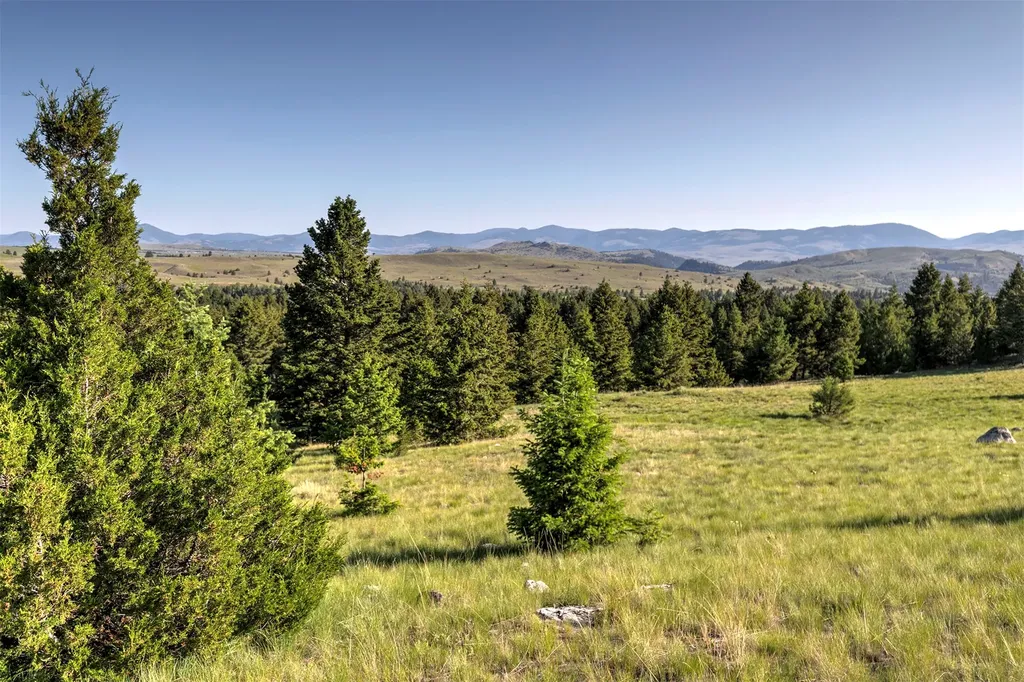 Nhn Lot 8 Phase 3a Dolus Lakes Road Deer Lodge MT 59722