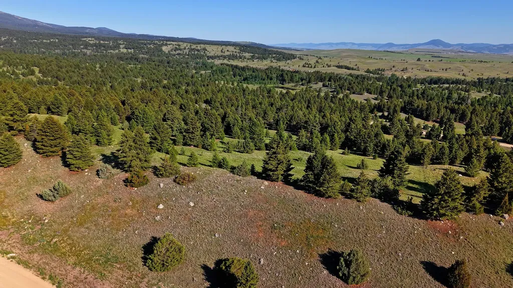 Nhn Lot 8 Phase 3a Dolus Lakes Road Deer Lodge MT 59722