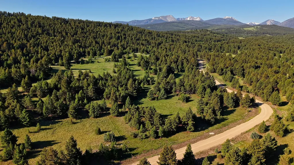 Nhn Lot 8 Phase 3a Dolus Lakes Road Deer Lodge MT 59722