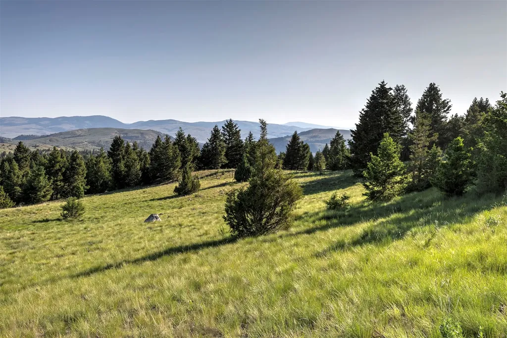 Nhn Lot 8 Phase 3a Dolus Lakes Road Deer Lodge MT 59722
