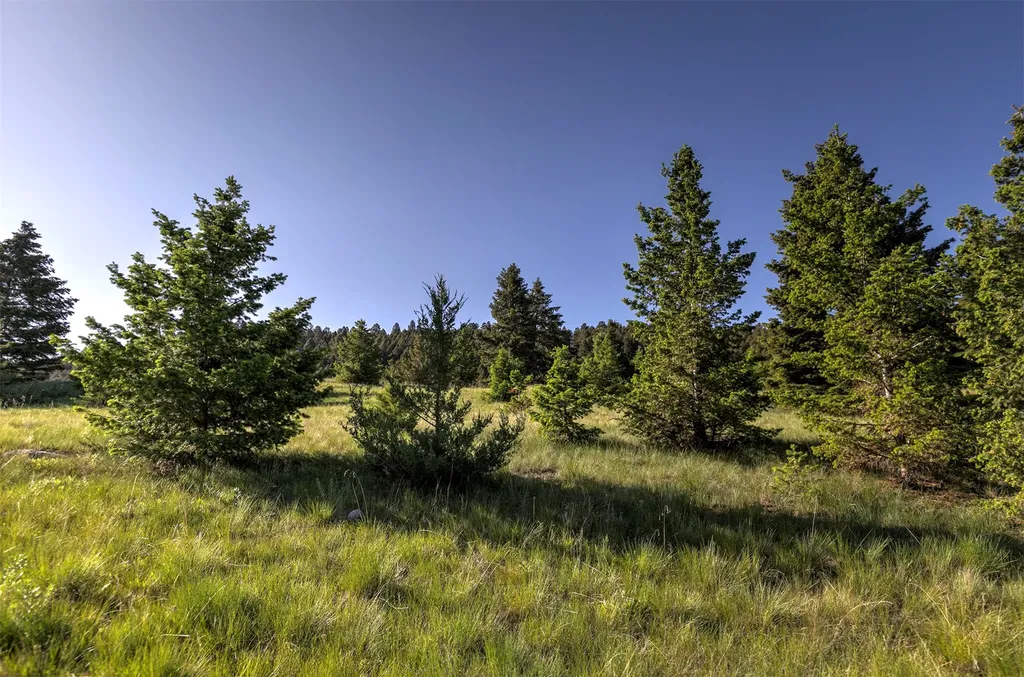 Nhn Lot 8 Phase 3a Dolus Lakes Road Deer Lodge MT 59722