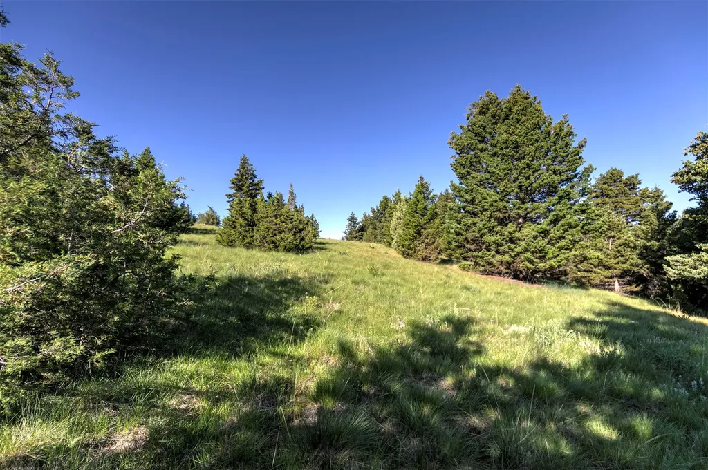 Nhn Lot 8 Phase 3a Dolus Lakes Road Deer Lodge MT 59722