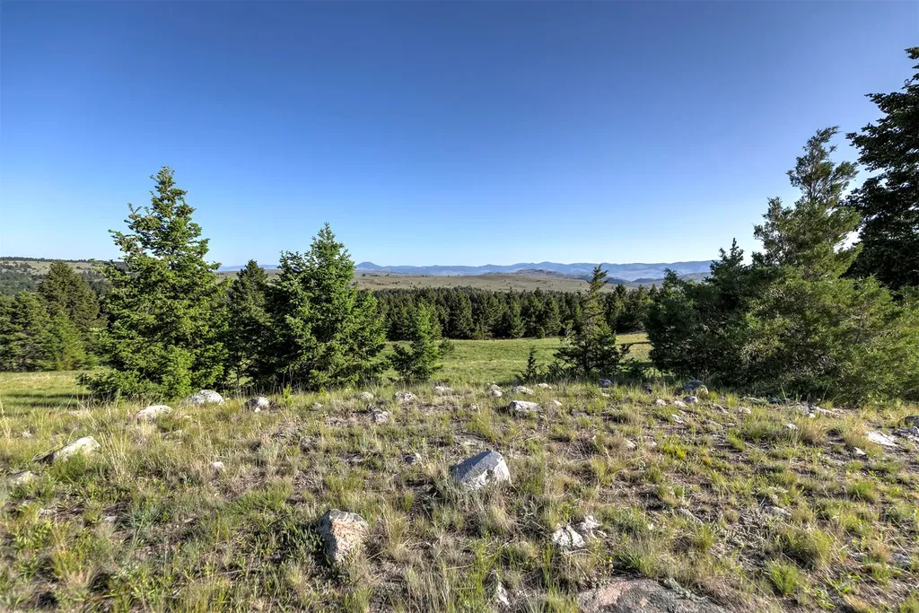 Nhn Lot 8 Phase 3a Dolus Lakes Road Deer Lodge MT 59722