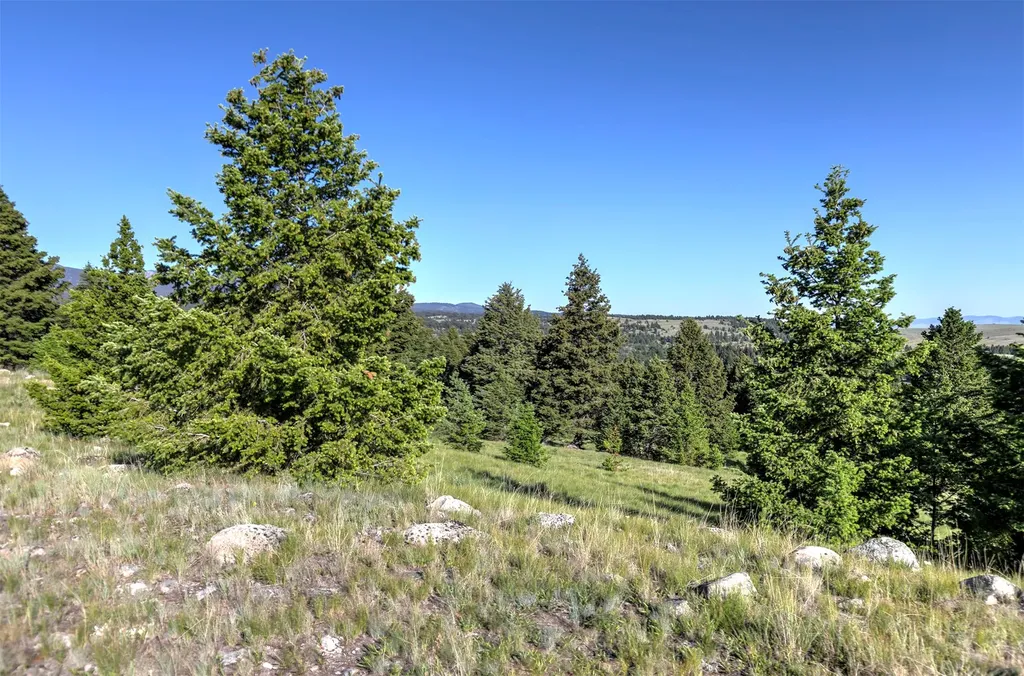 Nhn Lot 8 Phase 3a Dolus Lakes Road Deer Lodge MT 59722