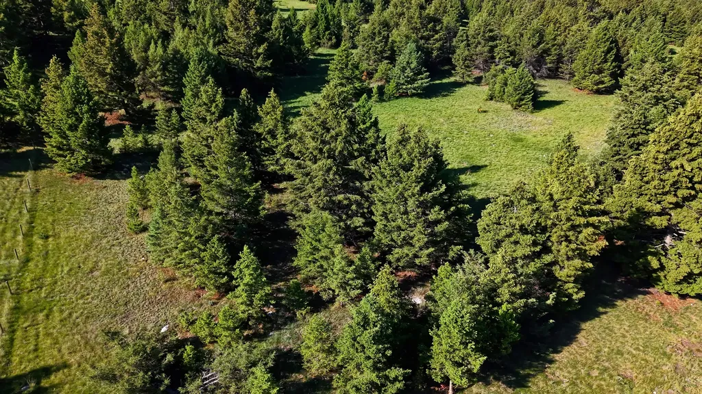 Nhn Lot 8 Phase 3a Dolus Lakes Road Deer Lodge MT 59722