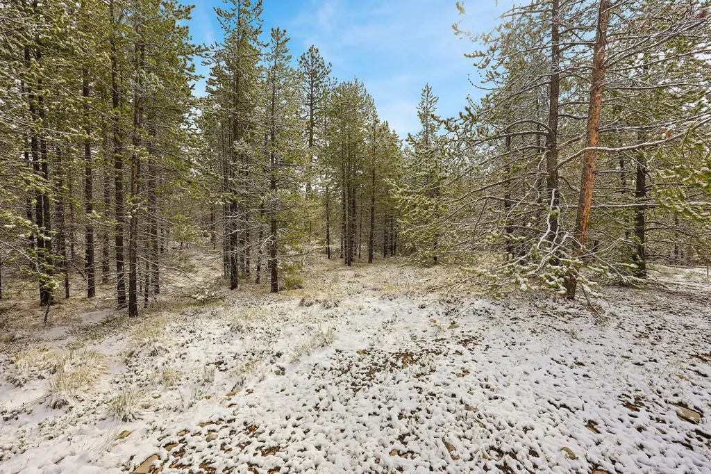 156 Badger Hollow Trail Marion MT 59925