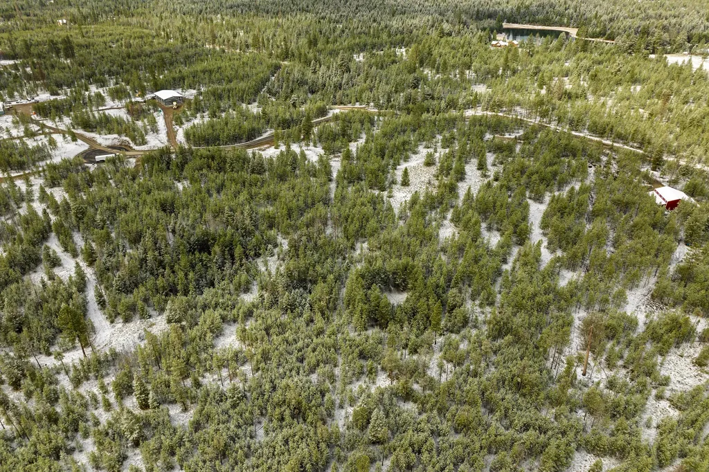 156 Badger Hollow Trail Marion MT 59925