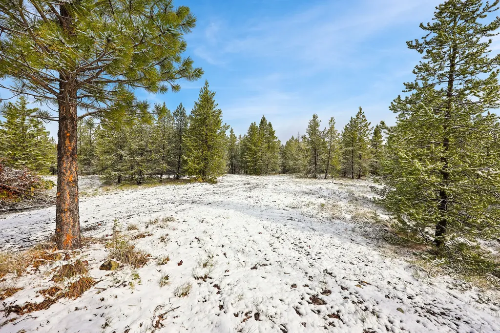 156 Badger Hollow Trail Marion MT 59925