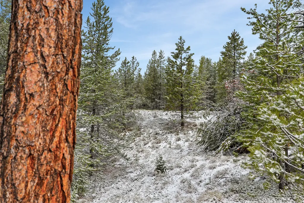 156 Badger Hollow Trail Marion MT 59925