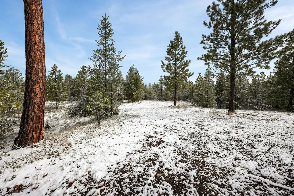 156 Badger Hollow Trail Marion MT 59925
