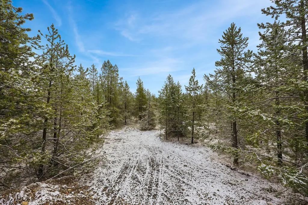 156 Badger Hollow Trail Marion MT 59925