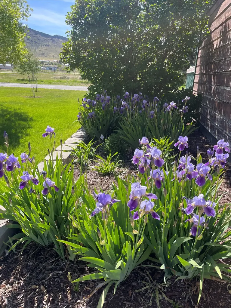 7105 Rosemary Drive Helena MT 59602