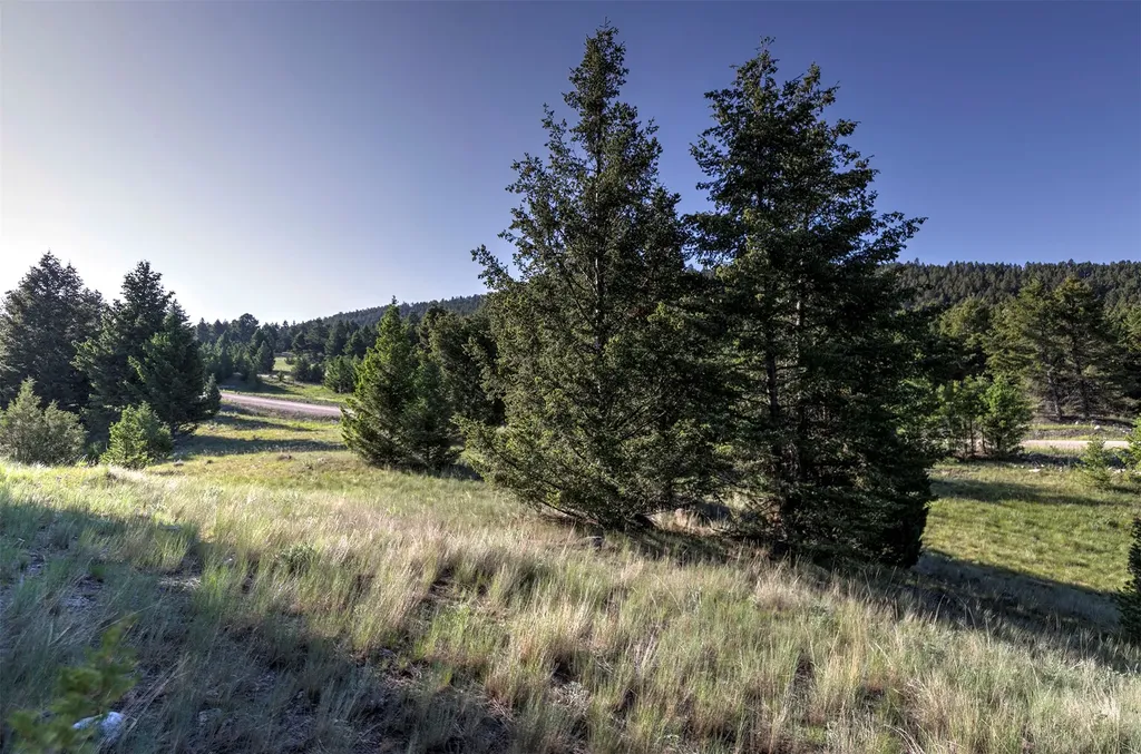 Nhn Lot 2 Phase 3a Dolus Lakes Road Deer Lodge MT 59722