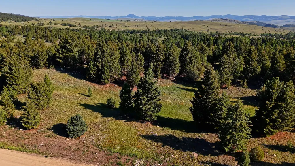 Nhn Lot 2 Phase 3a Dolus Lakes Road Deer Lodge MT 59722