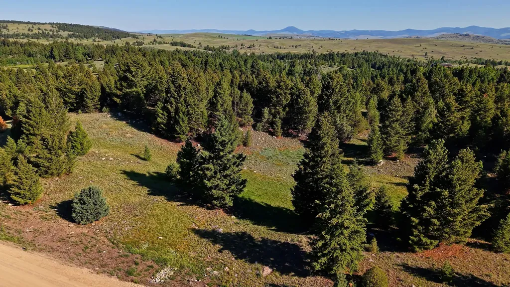 Nhn Lot 2 Phase 3a Dolus Lakes Road Deer Lodge MT 59722