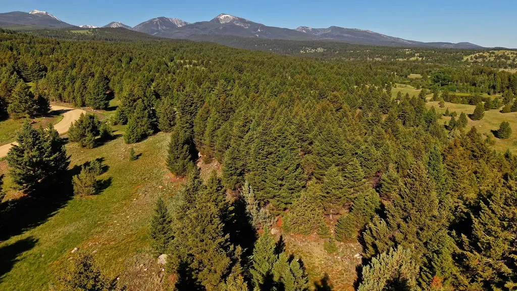 Nhn Lot 2 Phase 3a Dolus Lakes Road Deer Lodge MT 59722