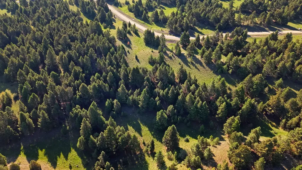 Nhn Lot 2 Phase 3a Dolus Lakes Road Deer Lodge MT 59722