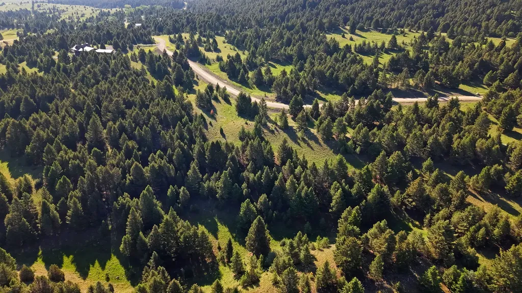 Nhn Lot 2 Phase 3a Dolus Lakes Road Deer Lodge MT 59722