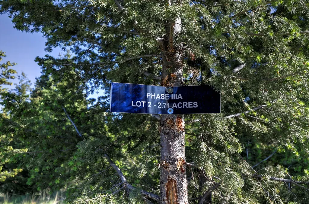 Nhn Lot 2 Phase 3a Dolus Lakes Road Deer Lodge MT 59722