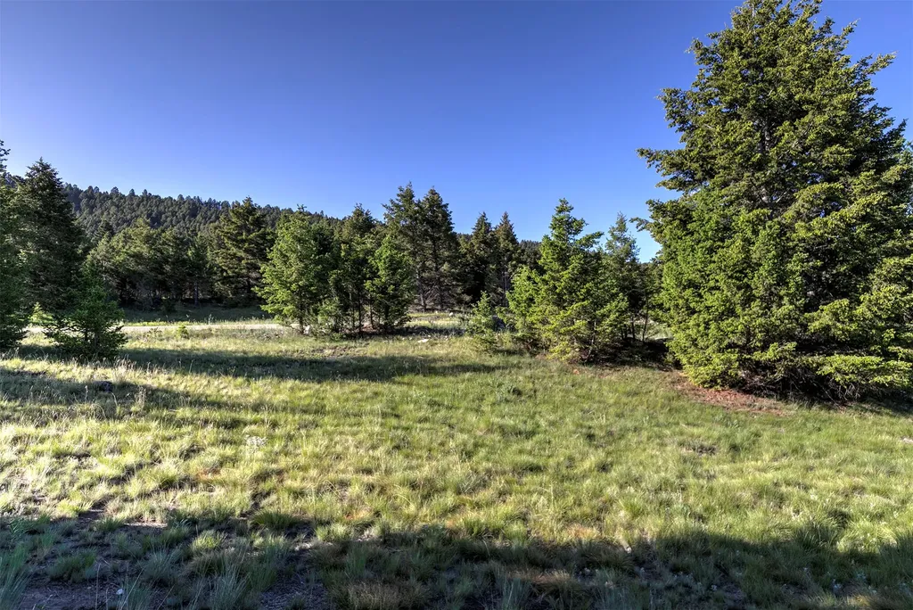 Nhn Lot 2 Phase 3a Dolus Lakes Road Deer Lodge MT 59722