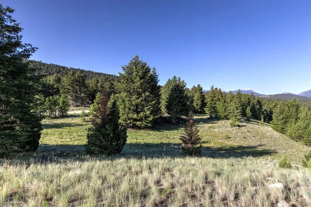 Nhn Lot 2 Phase 3a Dolus Lakes Road Deer Lodge MT 59722