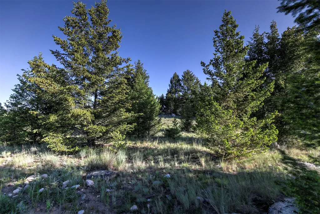 Nhn Lot 2 Phase 3a Dolus Lakes Road Deer Lodge MT 59722