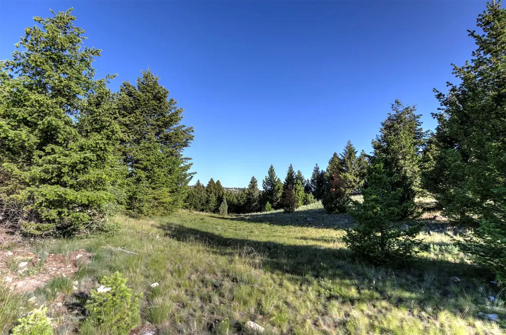 Nhn Lot 2 Phase 3a Dolus Lakes Road Deer Lodge MT 59722