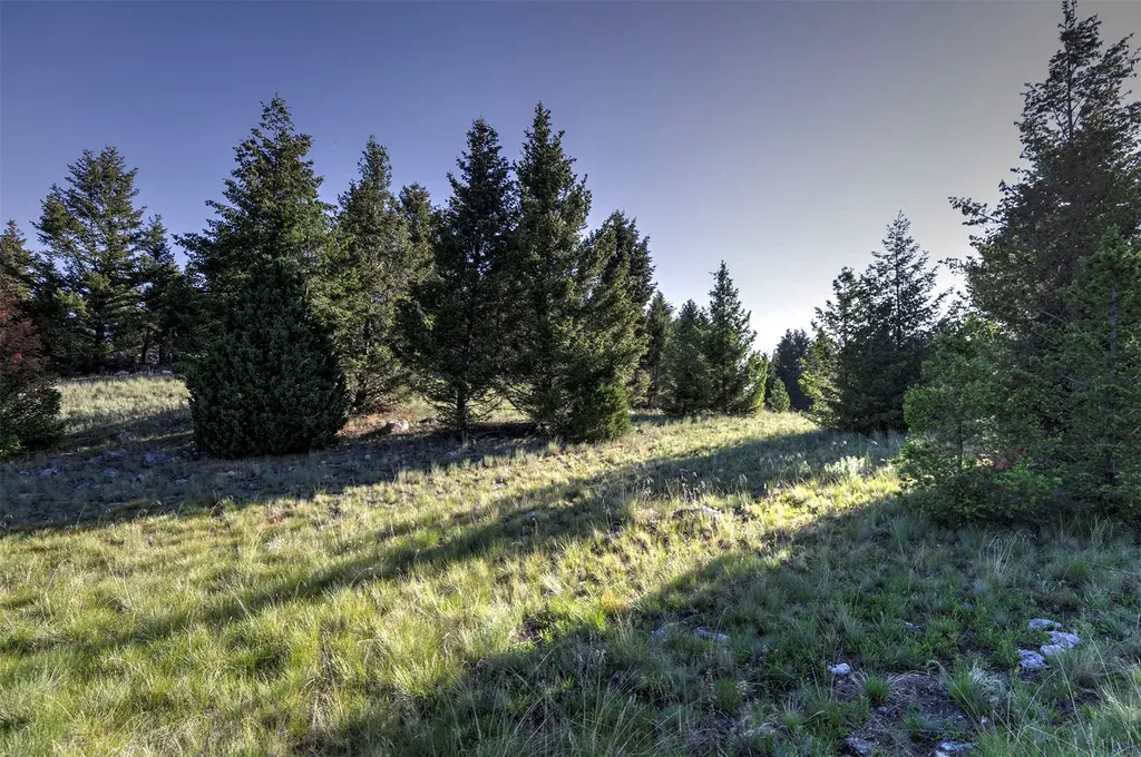 Nhn Lot 2 Phase 3a Dolus Lakes Road Deer Lodge MT 59722