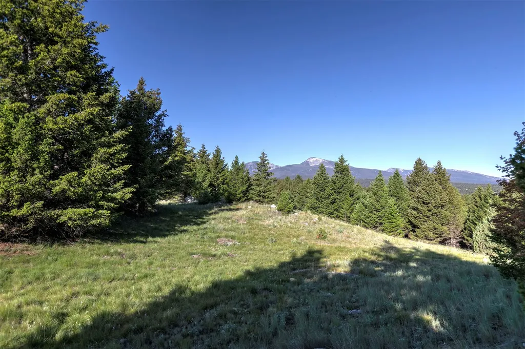 Nhn Lot 2 Phase 3a Dolus Lakes Road Deer Lodge MT 59722