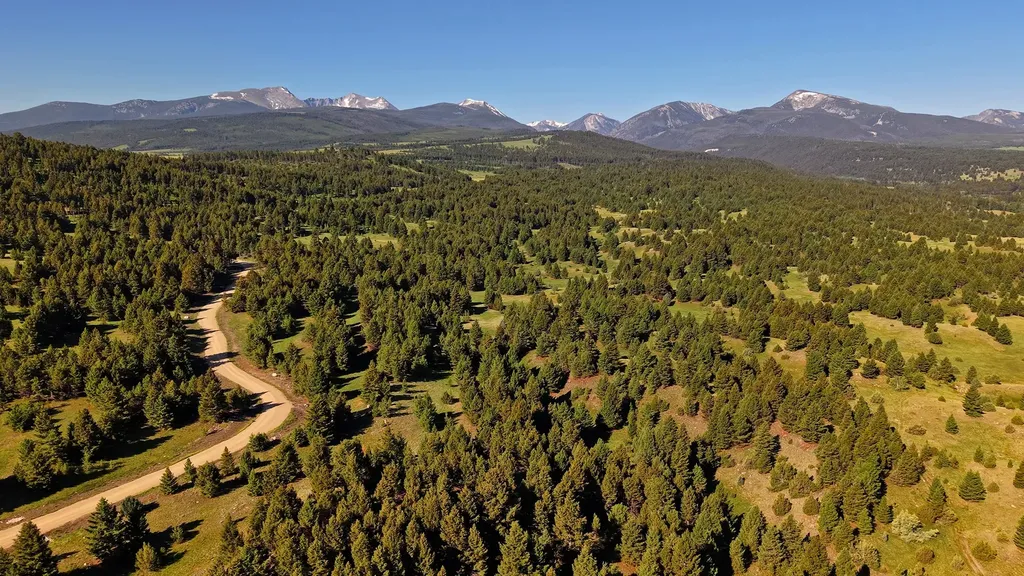 Nhn Lot 3 Phase 3a Dolus Lakes Road Deer Lodge MT 59722