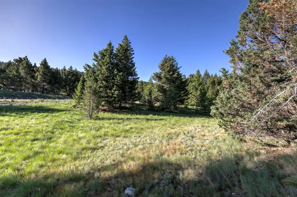 Nhn Lot 3 Phase 3a Dolus Lakes Road Deer Lodge MT 59722