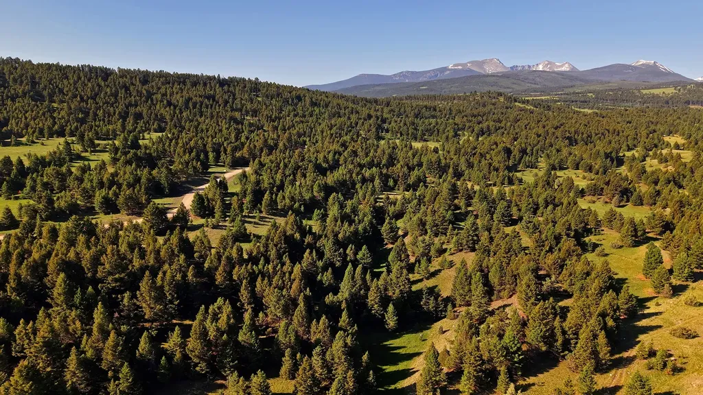 Nhn Lot 3 Phase 3a Dolus Lakes Road Deer Lodge MT 59722