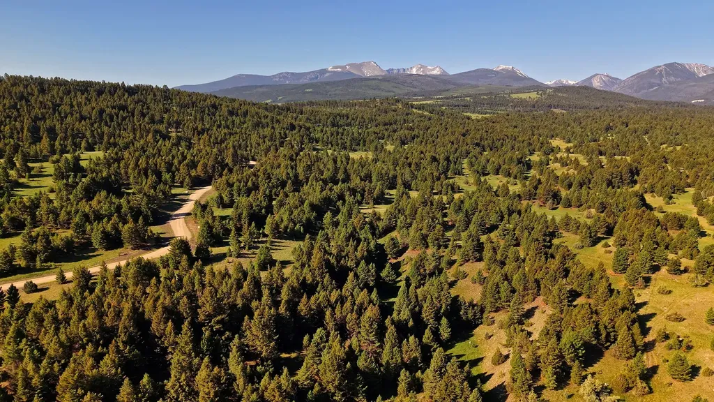 Nhn Lot 3 Phase 3a Dolus Lakes Road Deer Lodge MT 59722