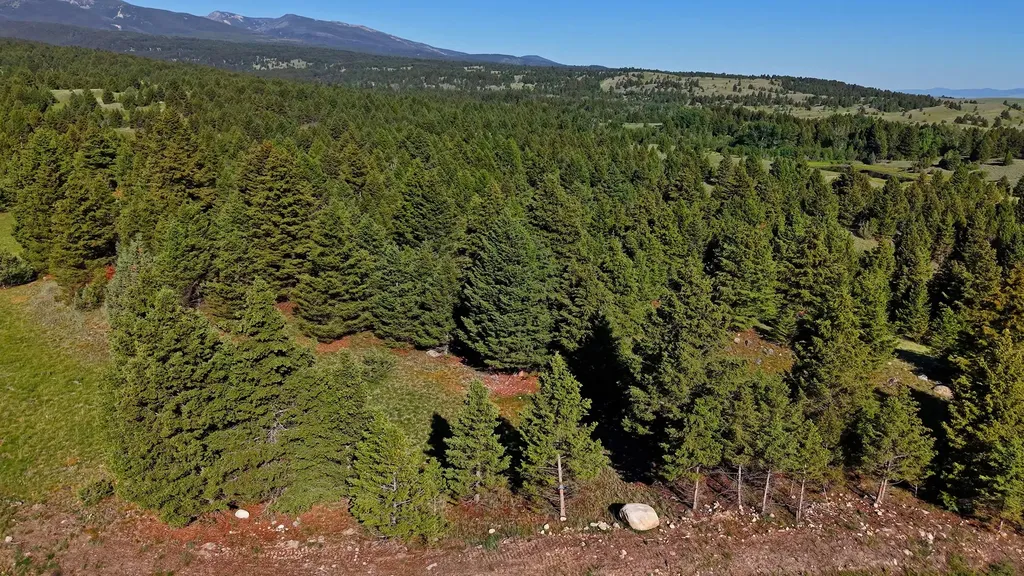 Nhn Lot 3 Phase 3a Dolus Lakes Road Deer Lodge MT 59722
