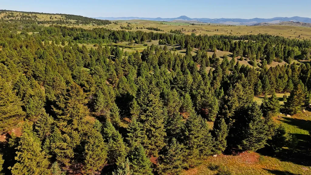 Nhn Lot 3 Phase 3a Dolus Lakes Road Deer Lodge MT 59722