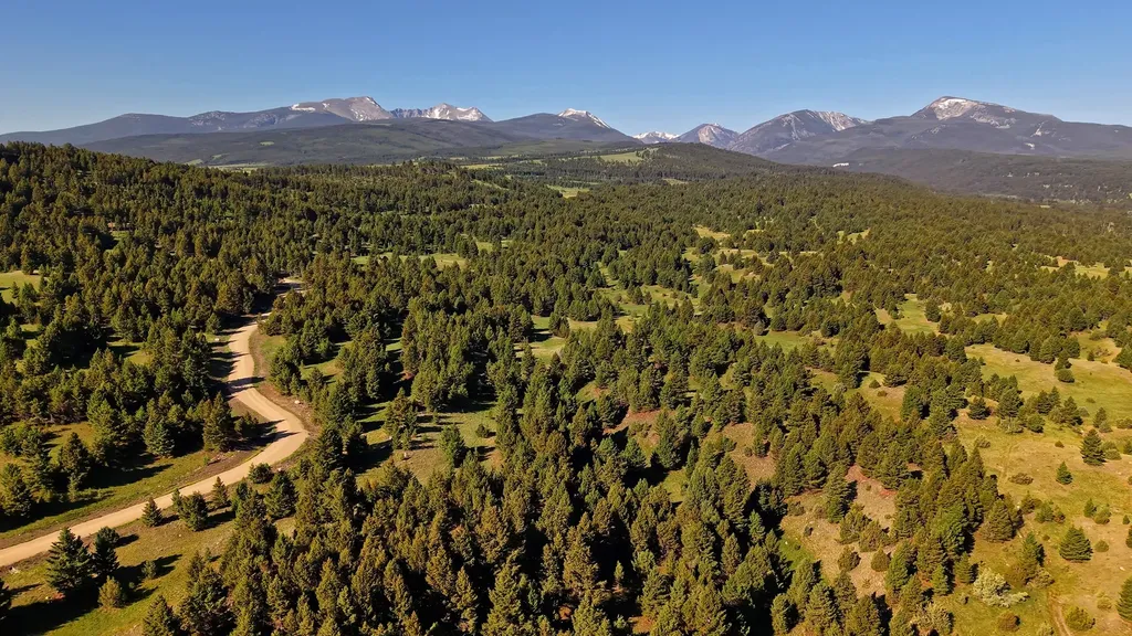 Nhn Lot 3 Phase 3a Dolus Lakes Road Deer Lodge MT 59722