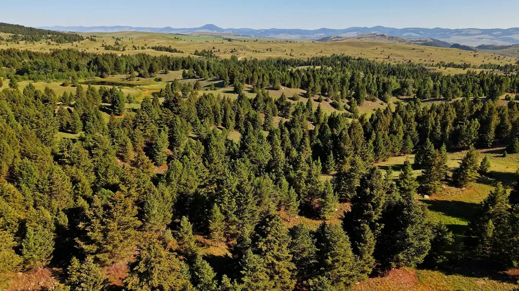 Nhn Lot 3 Phase 3a Dolus Lakes Road Deer Lodge MT 59722