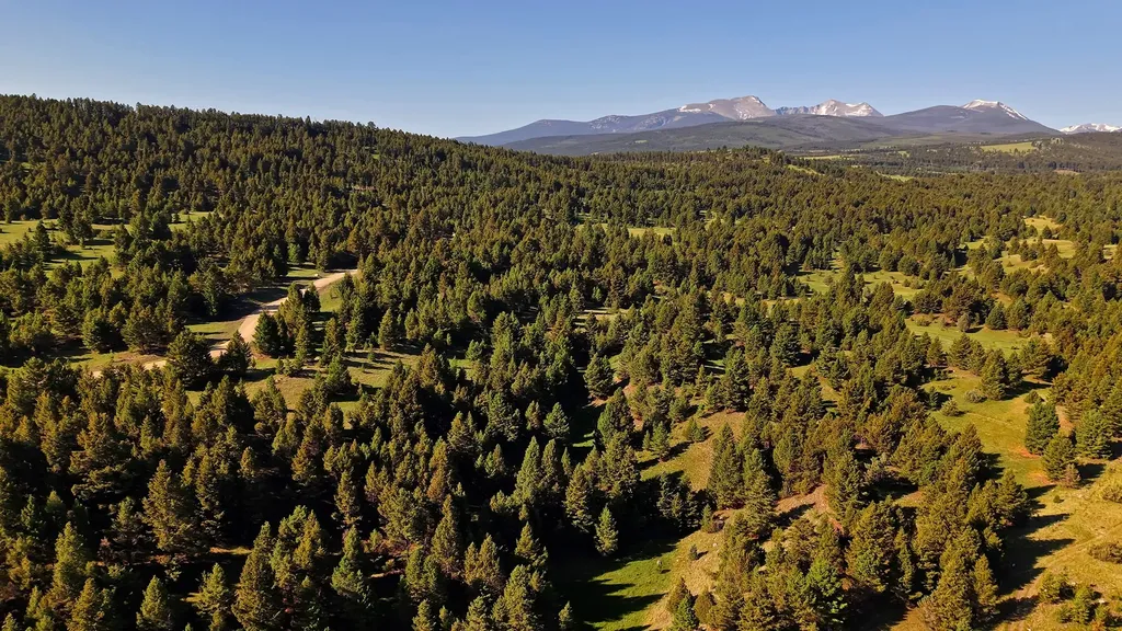 Nhn Lot 3 Phase 3a Dolus Lakes Road Deer Lodge MT 59722