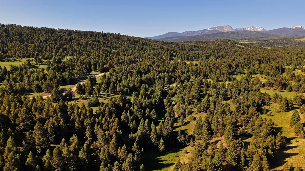 Nhn Lot 3 Phase 3a Dolus Lakes Road Deer Lodge MT 59722