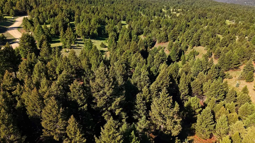 Nhn Lot 3 Phase 3a Dolus Lakes Road Deer Lodge MT 59722