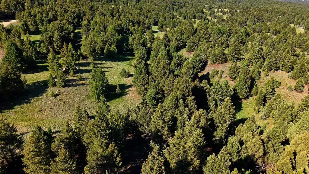 Nhn Lot 3 Phase 3a Dolus Lakes Road Deer Lodge MT 59722
