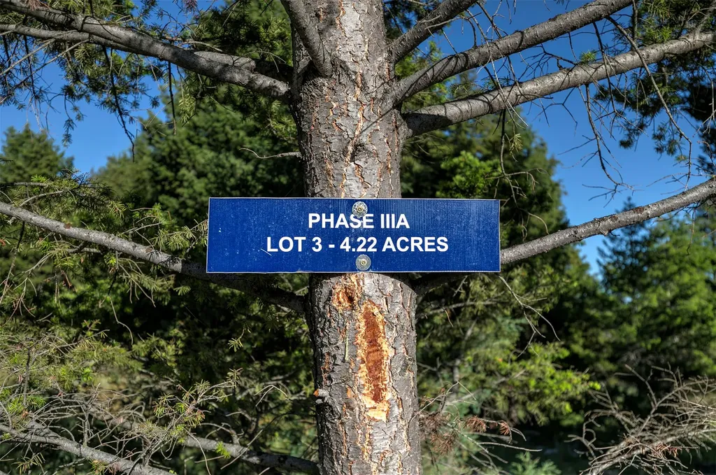 Nhn Lot 3 Phase 3a Dolus Lakes Road Deer Lodge MT 59722