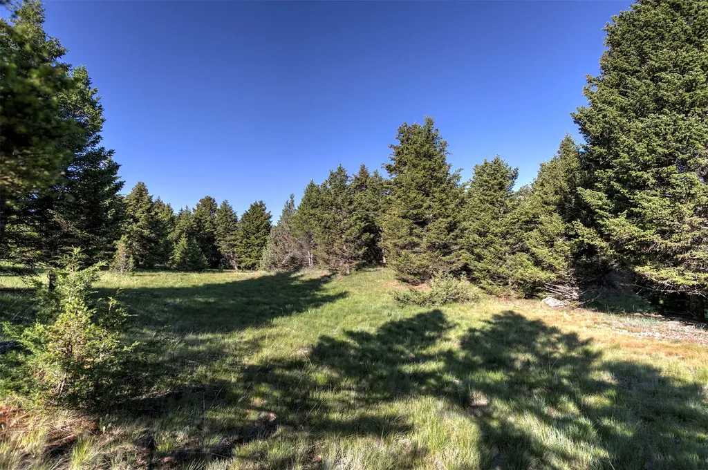 Nhn Lot 3 Phase 3a Dolus Lakes Road Deer Lodge MT 59722