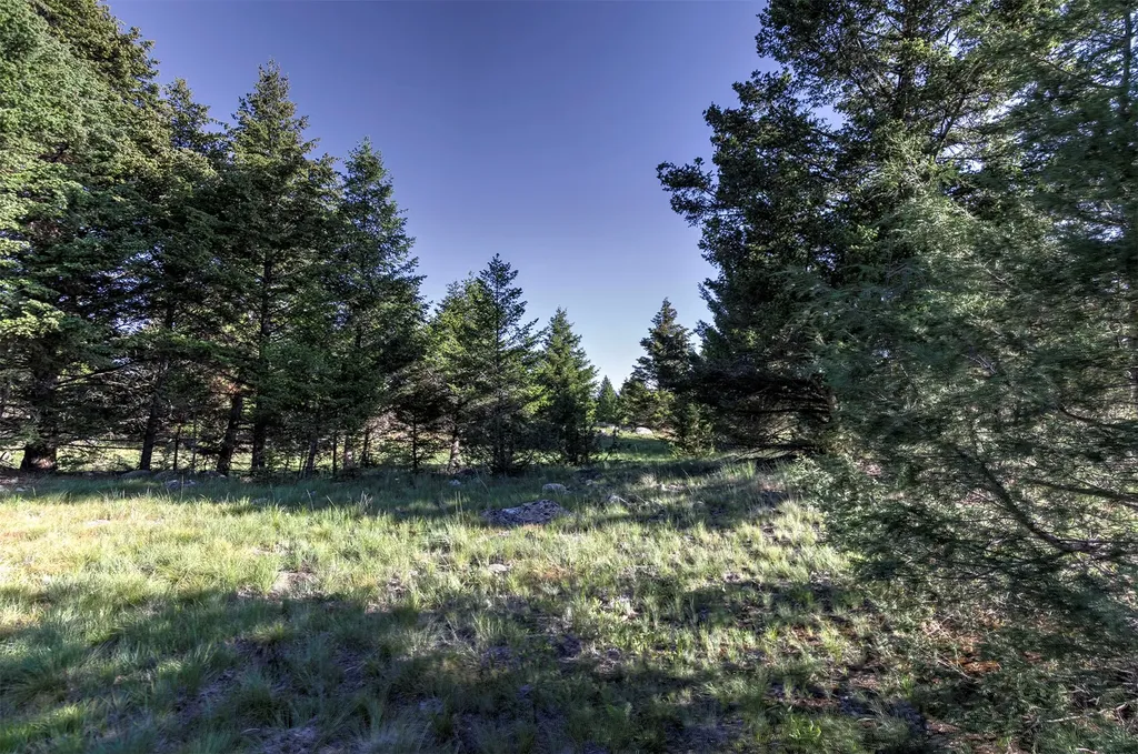 Nhn Lot 3 Phase 3a Dolus Lakes Road Deer Lodge MT 59722