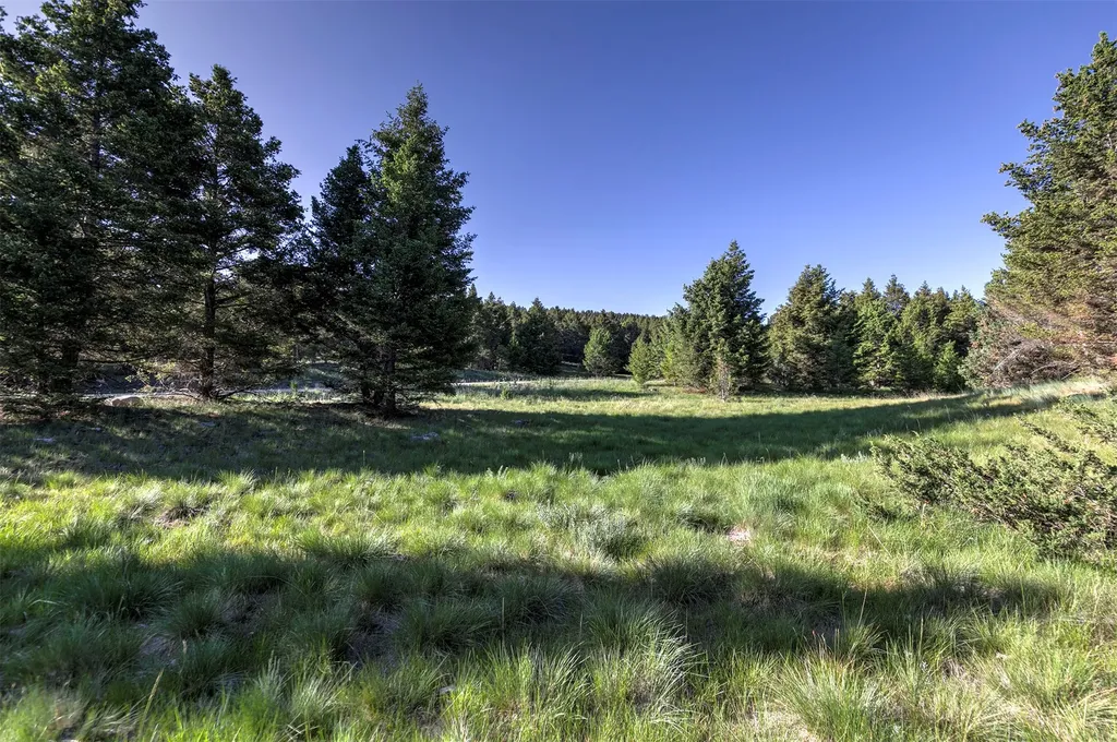 Nhn Lot 3 Phase 3a Dolus Lakes Road Deer Lodge MT 59722