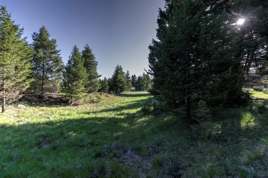 Nhn Lot 3 Phase 3a Dolus Lakes Road Deer Lodge MT 59722